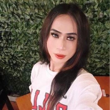 trans asian profile