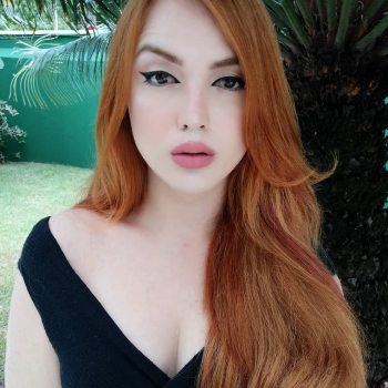 trans thai profile